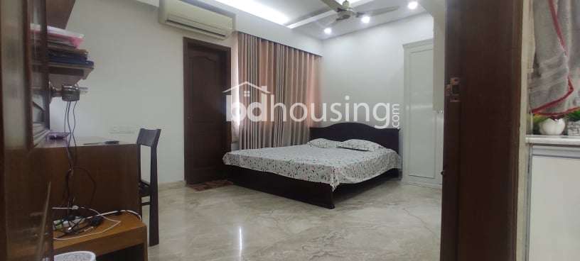 premium apartment, Apartment/Flats at Dhanmondi