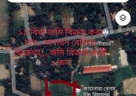 12 bigatha Almost Ready  Agriculture/Farm, buy for development property, Sale location Araihazer upazila & Paurashava  Agriculture/Farm Land at 