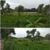  RAS project of Tanzil Corporation, Savar , Commercial Plot images 