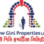 New Gini Properties ltd