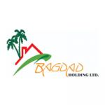 Bagdad Holdings Ltd
