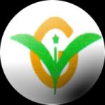 Green Image Development Co. Ltd. logo