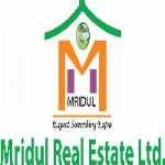 Mridul Real Estate Ltd.