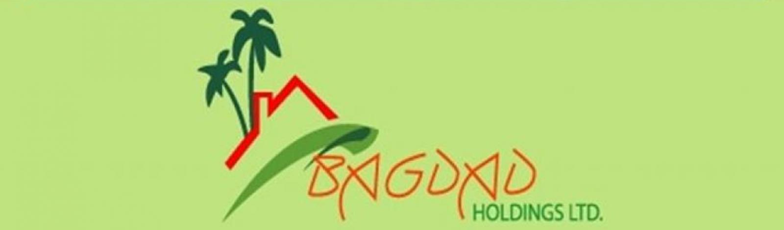 Bagdad Holdings Ltd banner