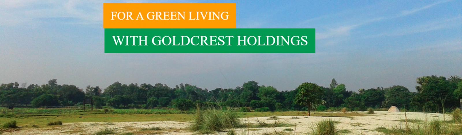 Goldcrest Holdings Ltd. banner