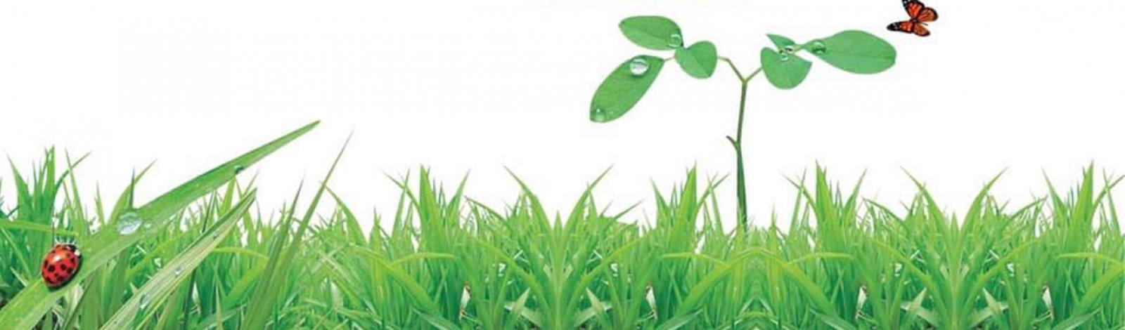 Perfect Living Properties Ltd banner
