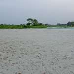 Floors Images