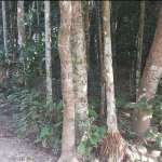 Floors Images