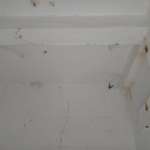 Floors Images