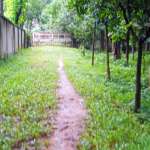 Floors Images