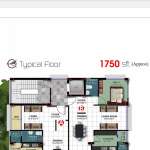 Floors Images