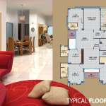 Floors Images