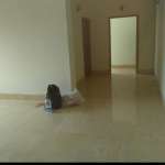 Floors Images