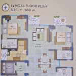 Floors Images