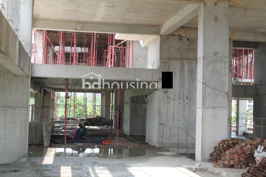 4055 sft Exclusive Apartment @ bashundhara., Apartment/Flats at Bashundhara R/A