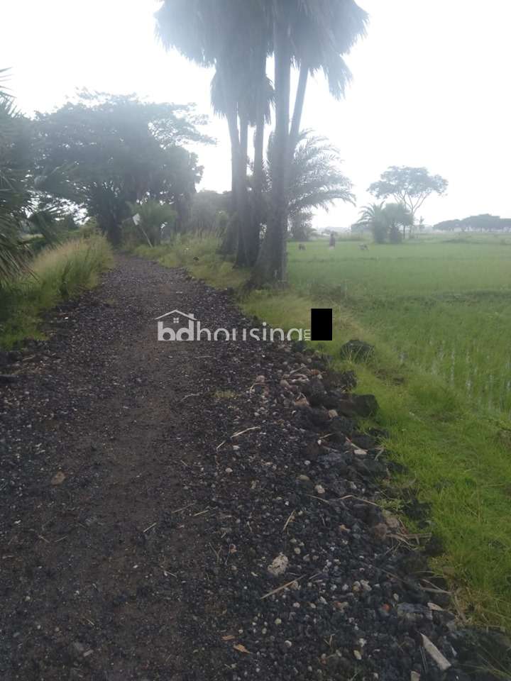 BIFC, Commercial Plot at Tongi