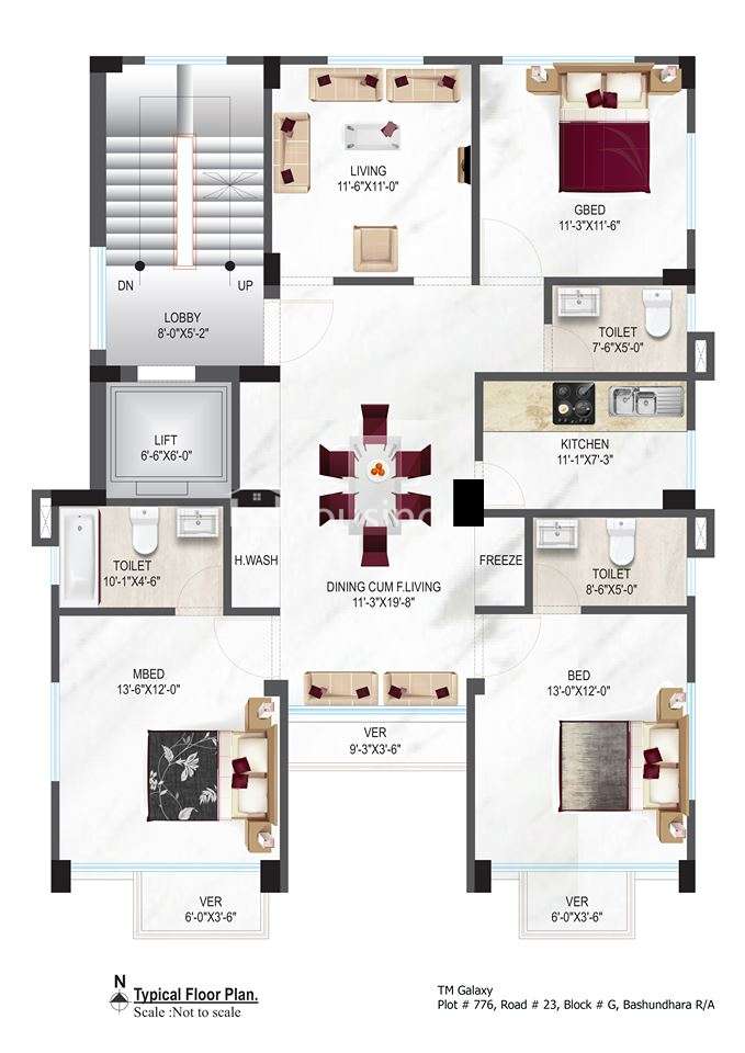 TM Glaxy , Apartment/Flats at Bashundhara R/A