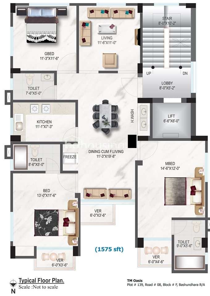 TM Oasis , Apartment/Flats at Bashundhara R/A