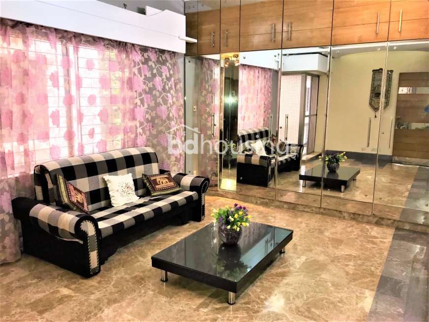 Luxurious Fully Furnished Duplex Apartment , Apartment/Flats at Gulshan 02