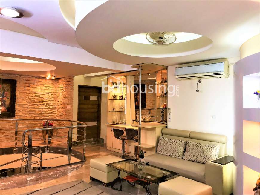 Luxurious Fully Furnished Duplex Apartment , Apartment/Flats at Gulshan 02