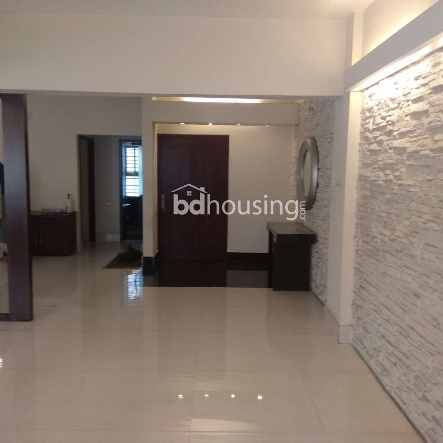 Luxurious 2400 sft used apartment for sale @ Dhanmondi R/A., Apartment/Flats at Dhanmondi