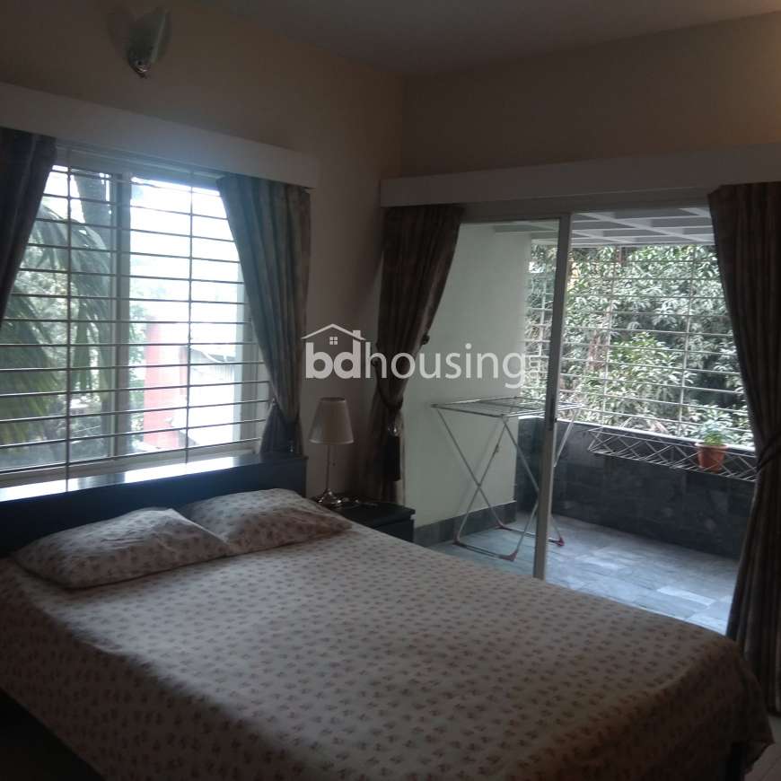 Luxurious 2400 sft used apartment for sale @ Dhanmondi R/A., Apartment/Flats at Dhanmondi