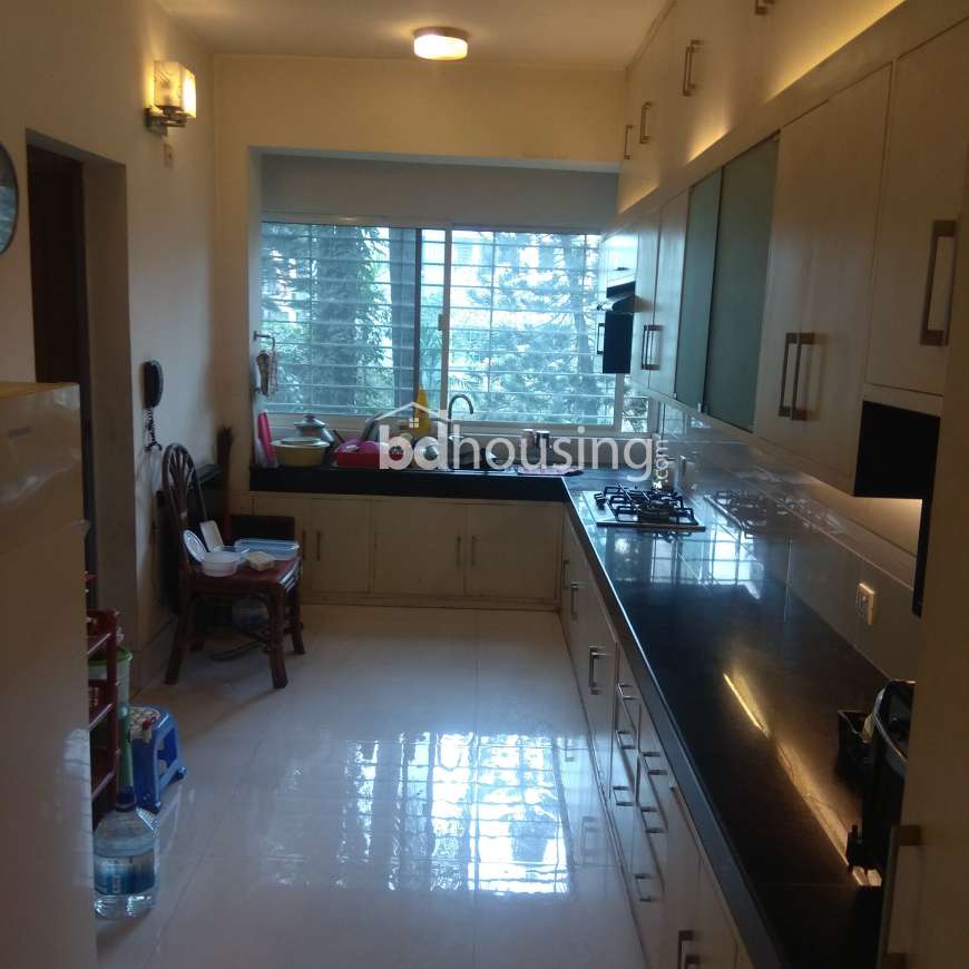 Luxurious 2400 sft used apartment for sale @ Dhanmondi R/A., Apartment/Flats at Dhanmondi