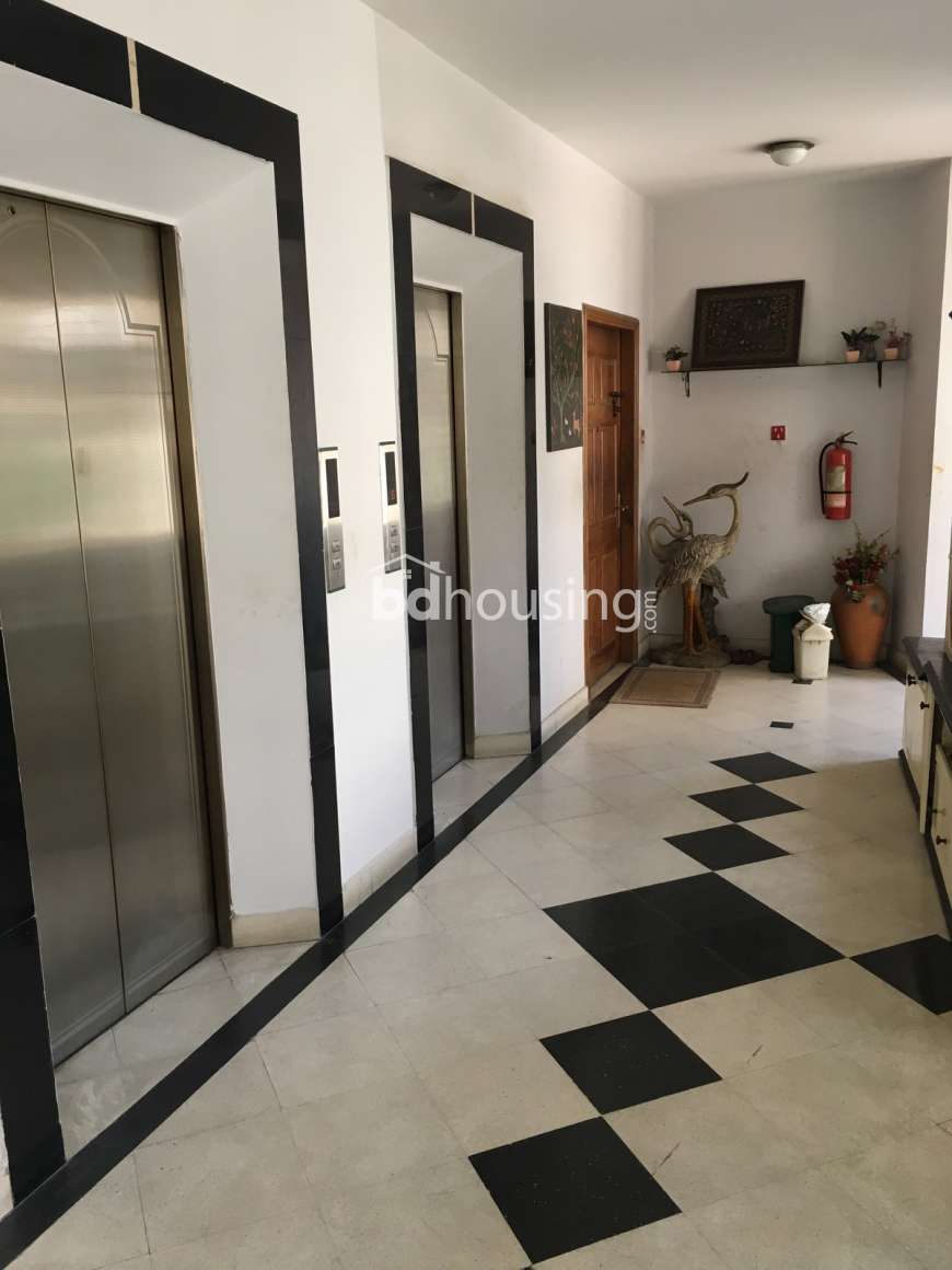 3000 sft Furnished Apartment, Apartment/Flats at Baridhara