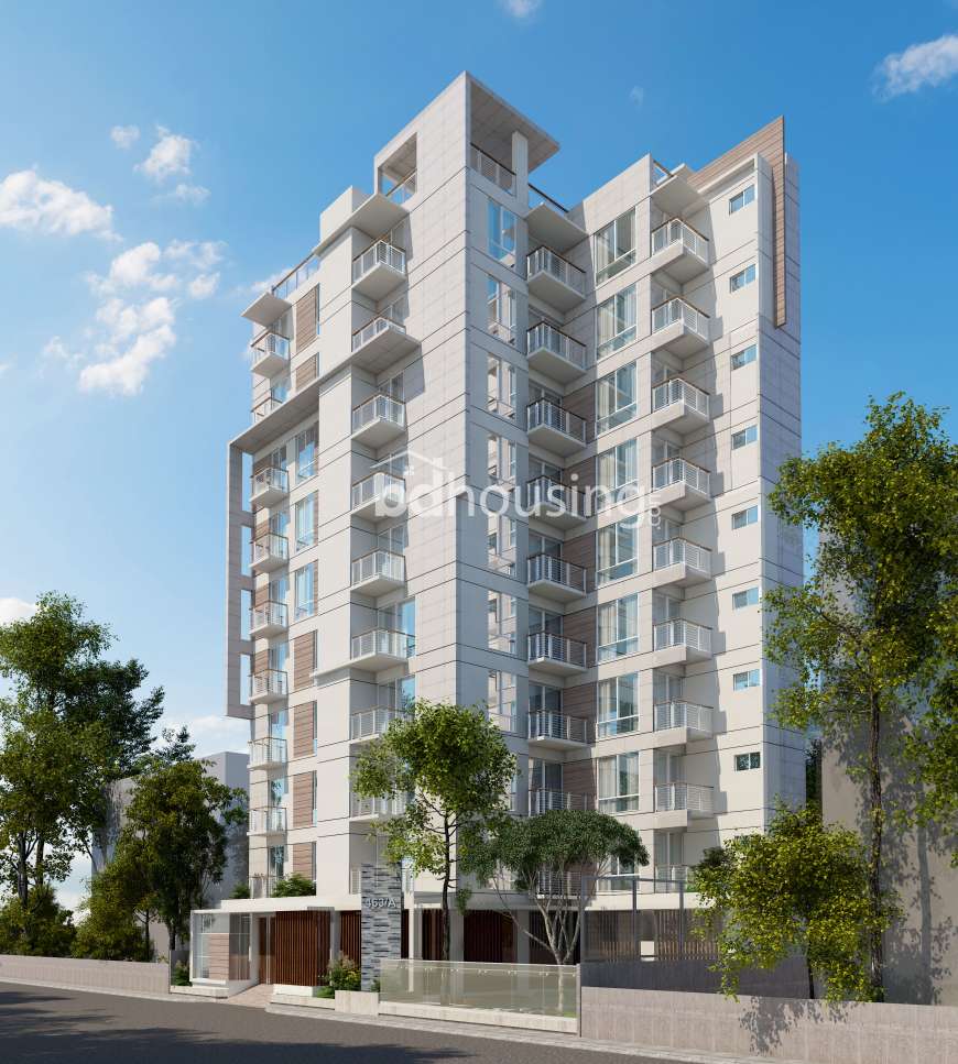 2450sft Single unit Apt with Gas connection, Apartment/Flats at Bashundhara R/A