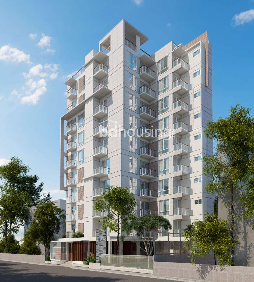 2450 sft single unit Apt with Gas & Lawn., Apartment/Flats at Bashundhara R/A