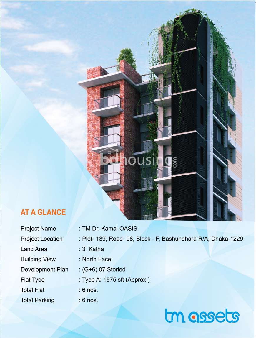 TM oasis, Apartment/Flats at Bashundhara R/A