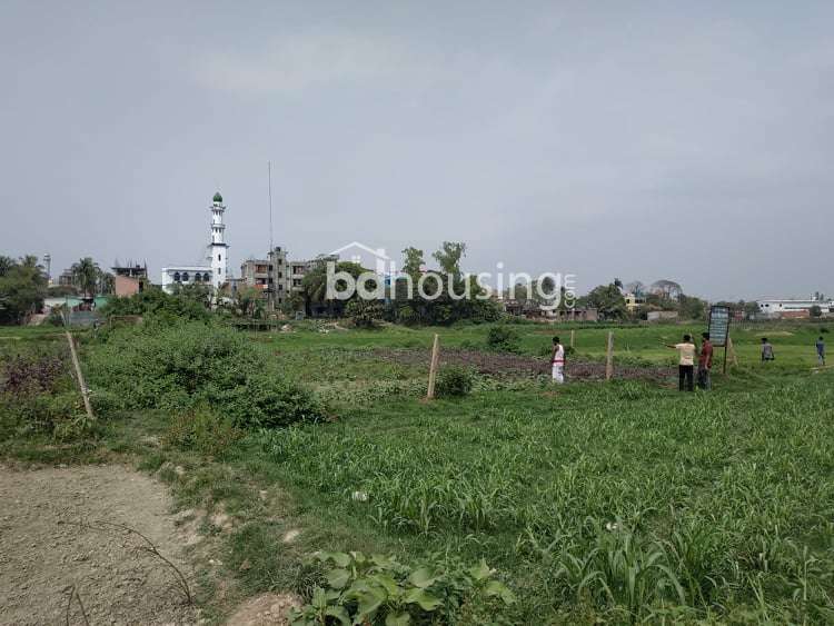 গাবতলীর কাছেই, সাভারের হেমায়েতপুরে ১৩.৫ শতক জমি বিক্রয় হবে, Residential Plot at Hemayetpur