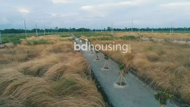  গ্রীন জোনের পাশেই হোক আপনার শান্তির নীড়      , Residential Plot at Purbachal