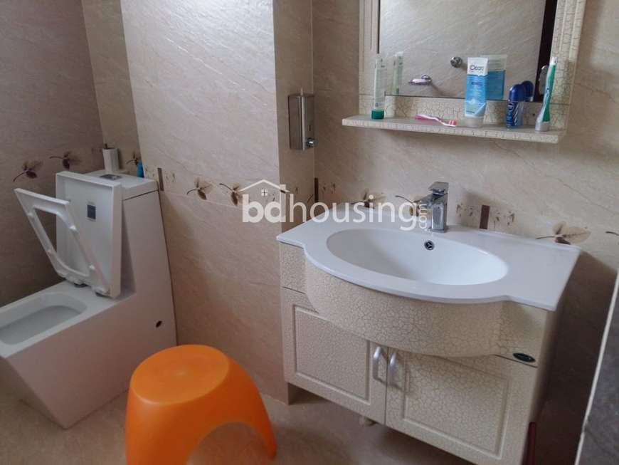 1550_sft Furnished Flat Sale@Banasree, Apartment/Flats at Banasree