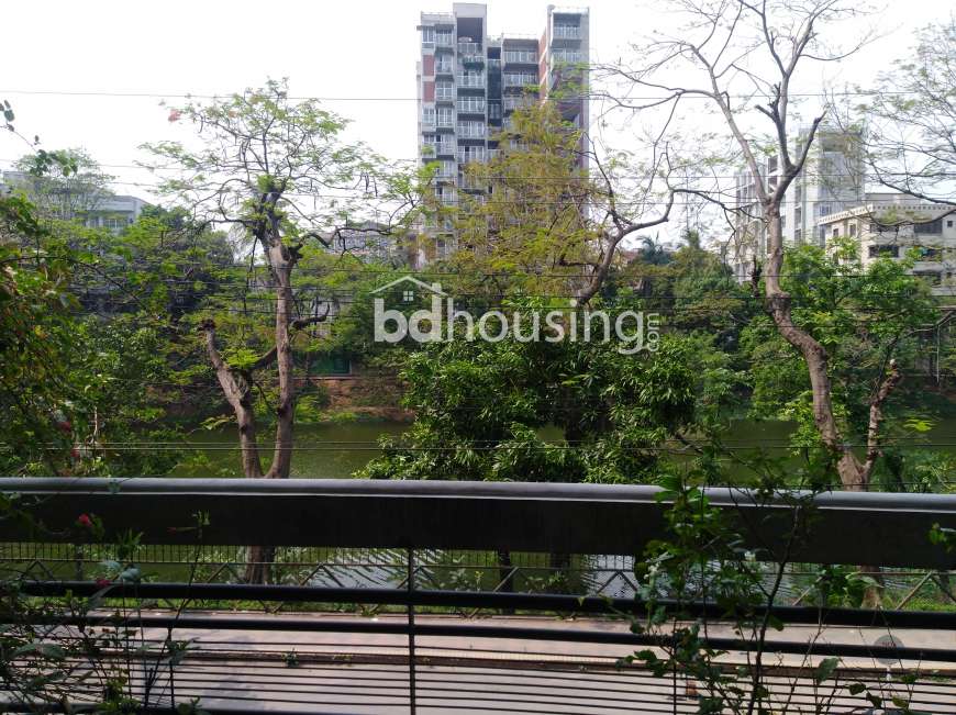 Dhanmondi Lake View 3348 sft luxury flat , Apartment/Flats at Dhanmondi