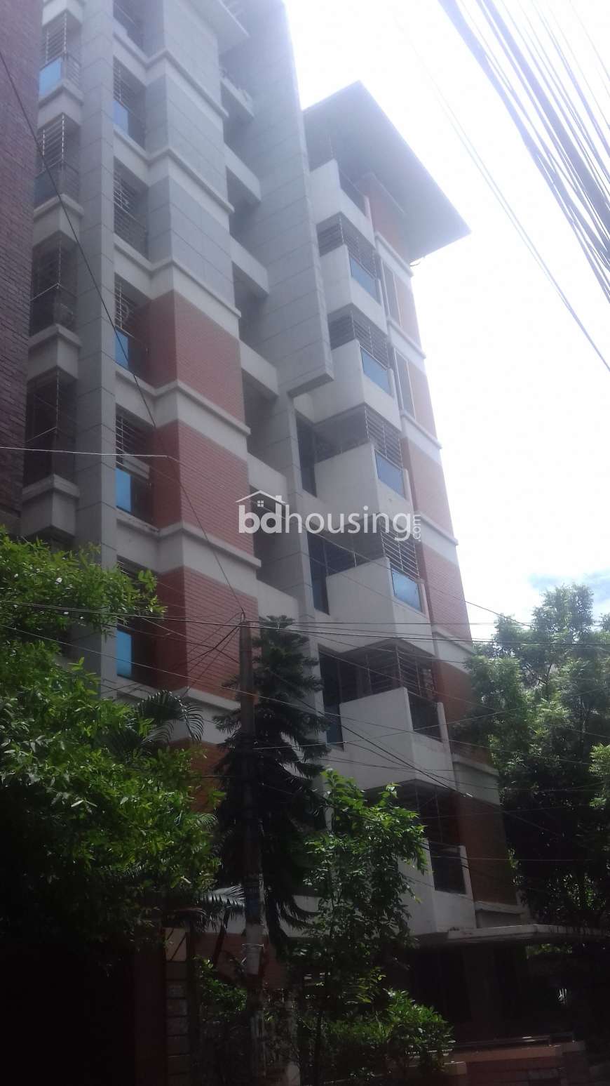 Bella Dale's, Apartment/Flats at Mohammadpur