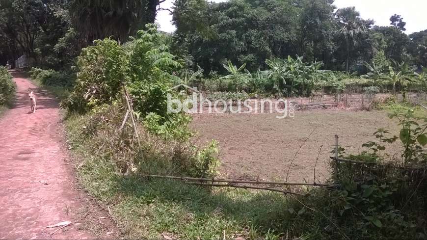 10 katha land, Residential Plot at Savar