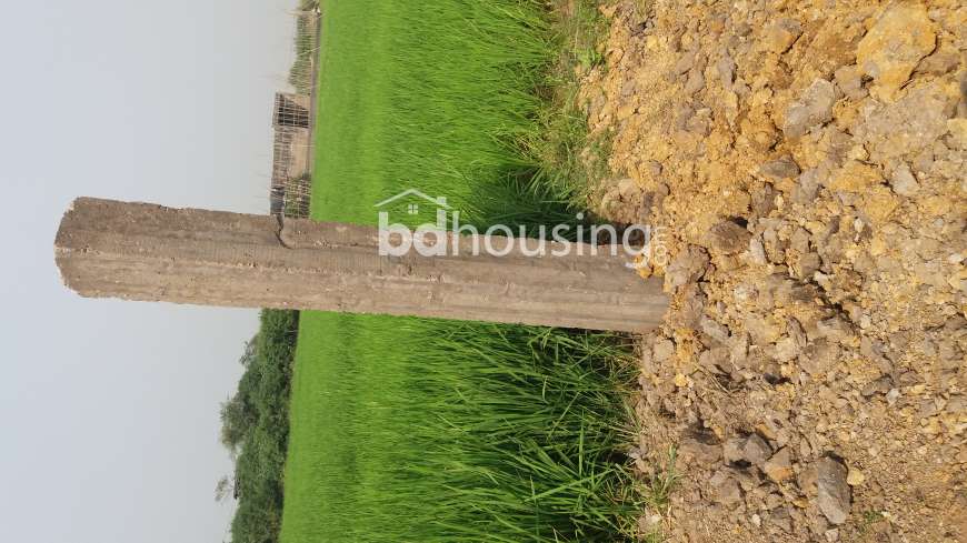 2 katha lan for sale, Agriculture/Farm Land at Basabo