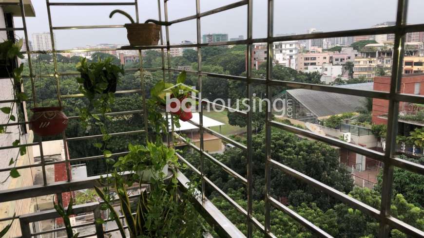 Dhanmondi, Apartment/Flats at Dhanmondi