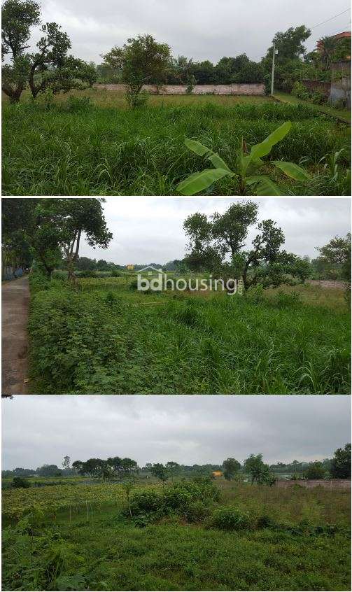  RAS project of Tanzil Corporation, Savar , Commercial Plot at Savar