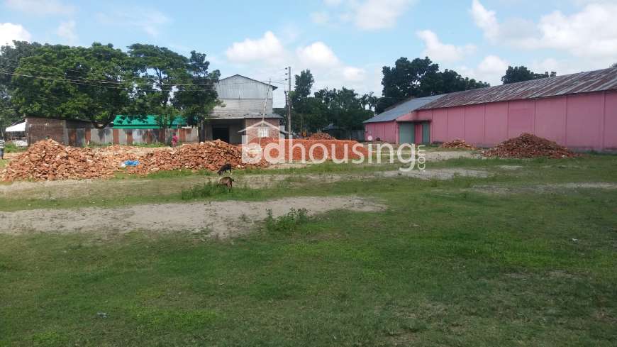 Beg Auto Rice Mill, Commercial Plot at sadar