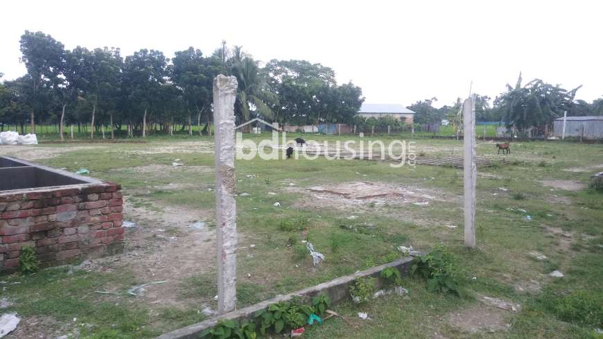 Beg Auto Rice Mill, Commercial Plot at sadar