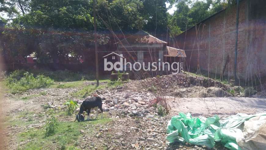 Beg Auto Rice Mill, Commercial Plot at sadar