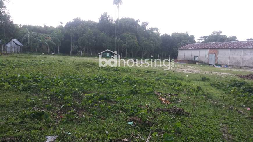 Beg Auto Rice Mill, Commercial Plot at sadar