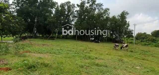 Plot of Khandaker Mahtab Hossen, Commercial Plot at Gazipur Sadar