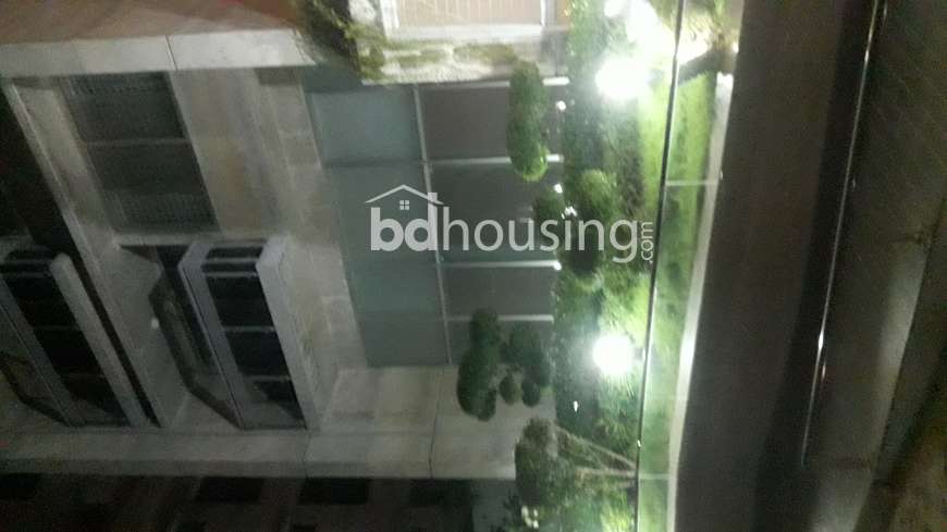 Premium Apartment @ dhamondi, Apartment/Flats at Dhanmondi