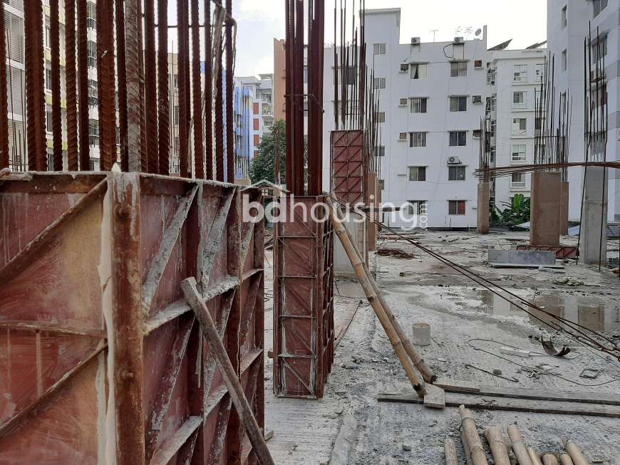 Richmond Shaheen's Dream, Apartment/Flats at Bashundhara R/A