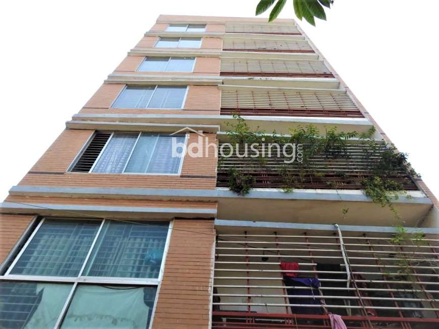 House, Independent House at Mohammadpur