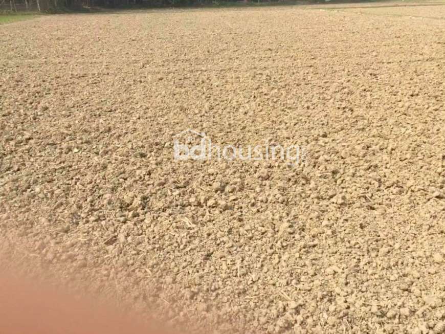 Its a land, Residential Plot at Banasree