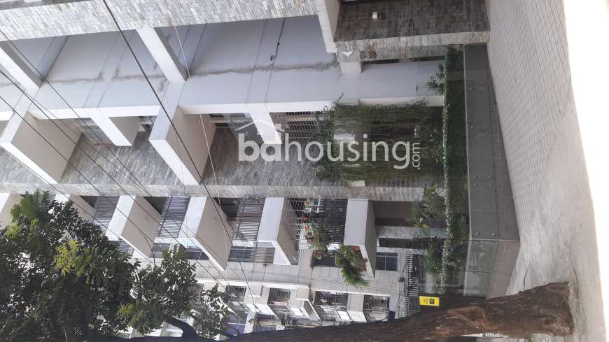 Luxurious Apartment at Dhanmondi, Apartment/Flats at Dhanmondi